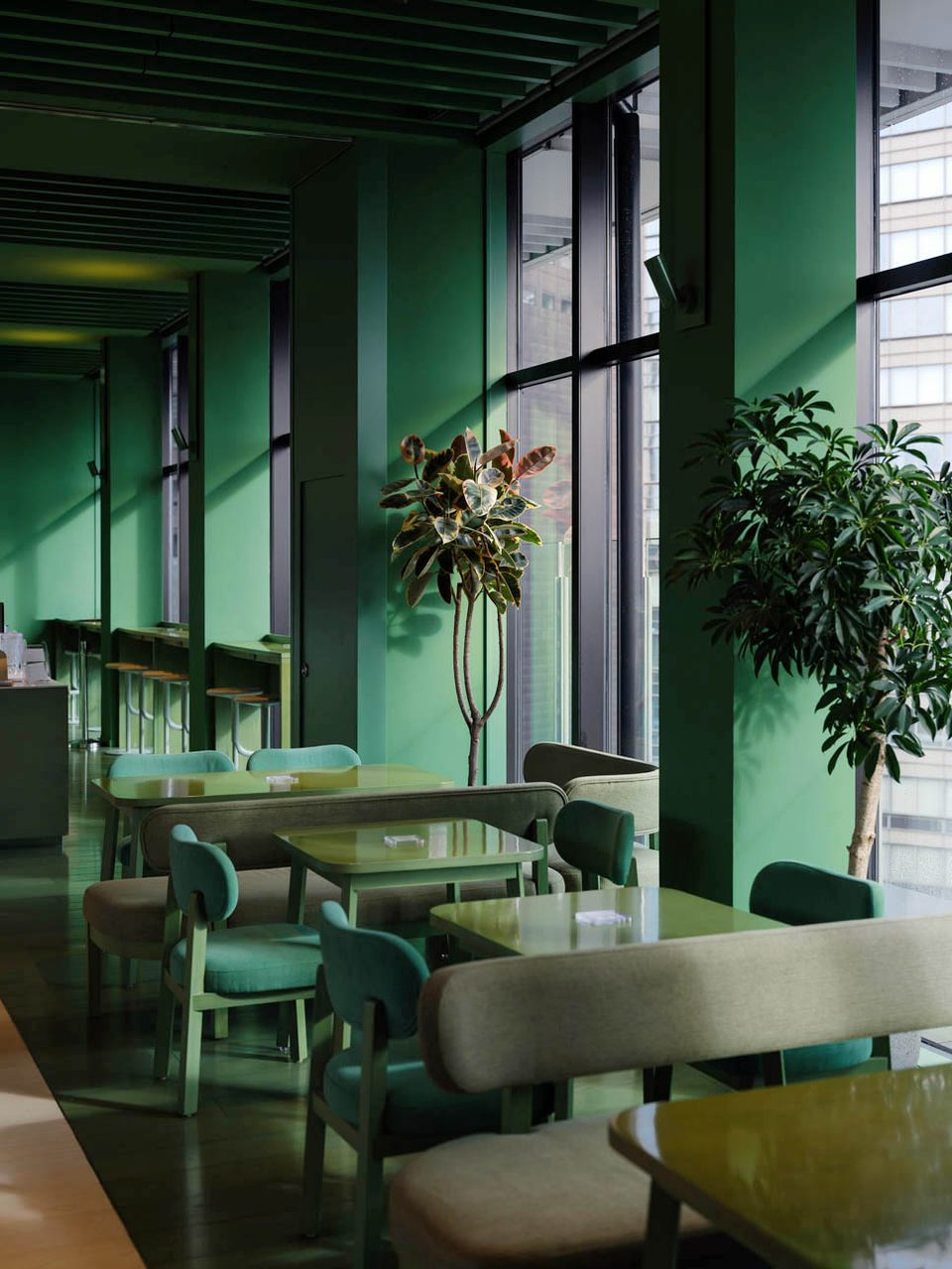 Green interior with coordinated furnishings, mature plants and angled afternoon light in Tokyo.